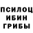 Псилоцибиновые грибы Magic Shrooms Kohca_ Lapa