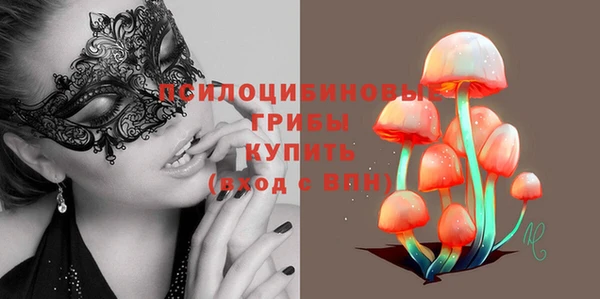 индика Алексин