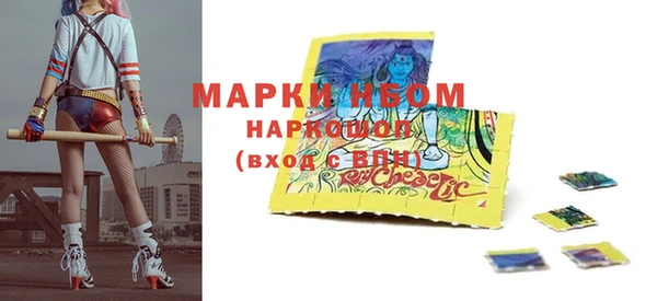 индика Алексин