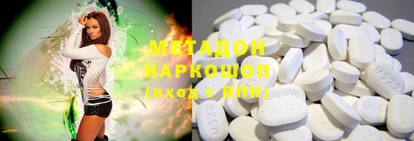 индика Алексин