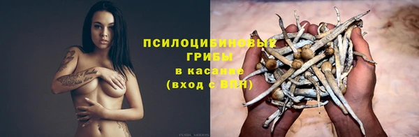 скорость Алзамай
