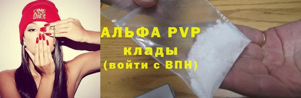 индика Алексин