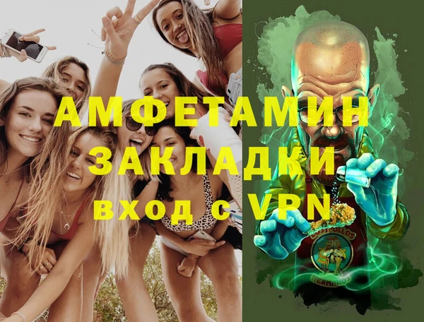 индика Алексин
