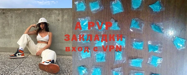 индика Алексин