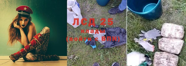 индика Алексин