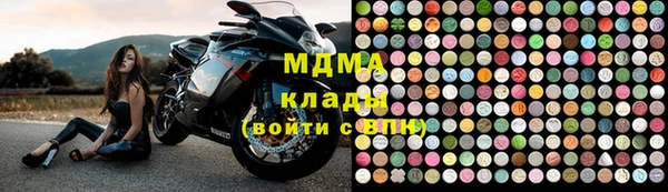 индика Алексин