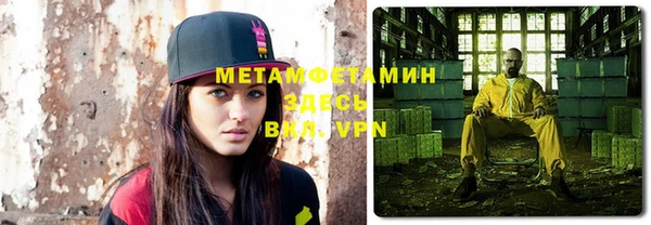 индика Алексин