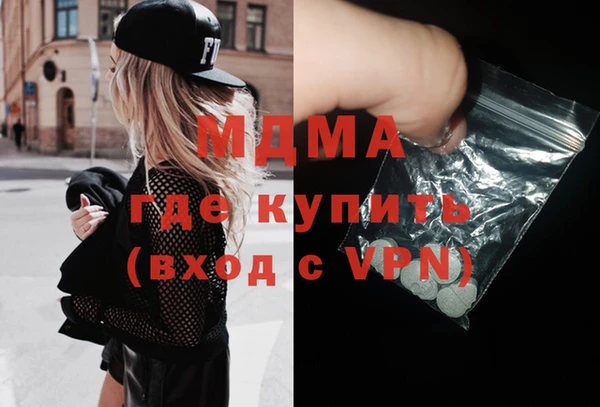 индика Алексин