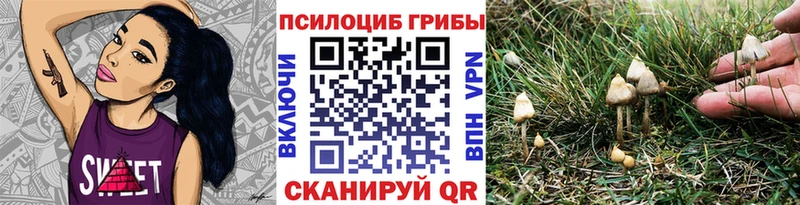 Псилоцибиновые грибы Cubensis  Сарапул 